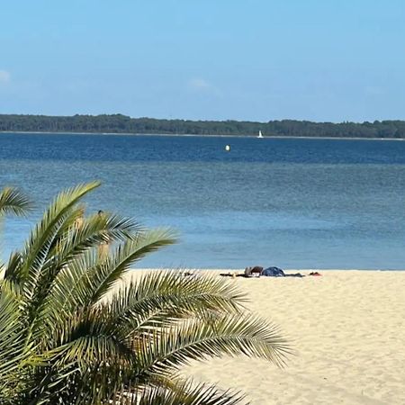 Chalet Et Jaccuzy Sur La Plage Biscarrosse Bagian luar foto