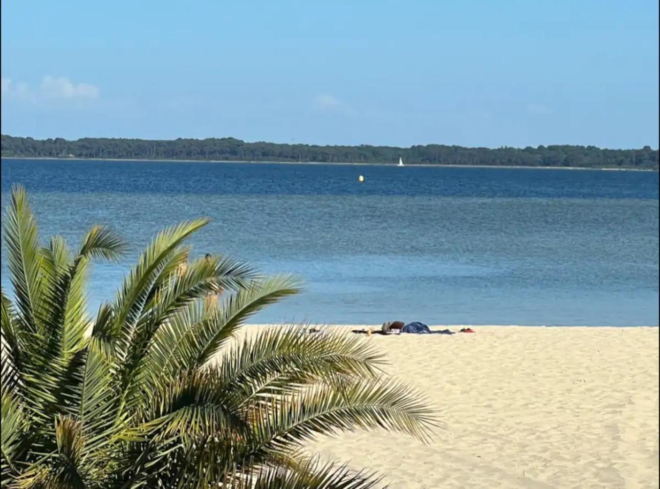 Chalet Et Jaccuzy Sur La Plage Biscarrosse Bagian luar foto